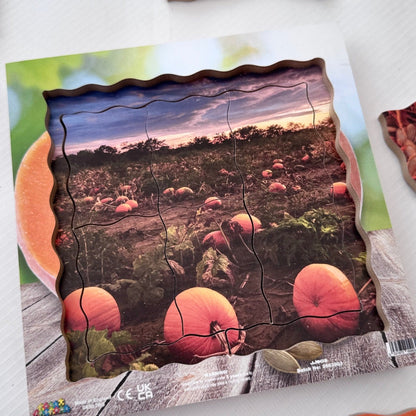 Pumpkin Life Cycle Layered Puzzle