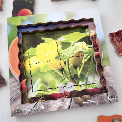 Pumpkin Life Cycle Layered Puzzle