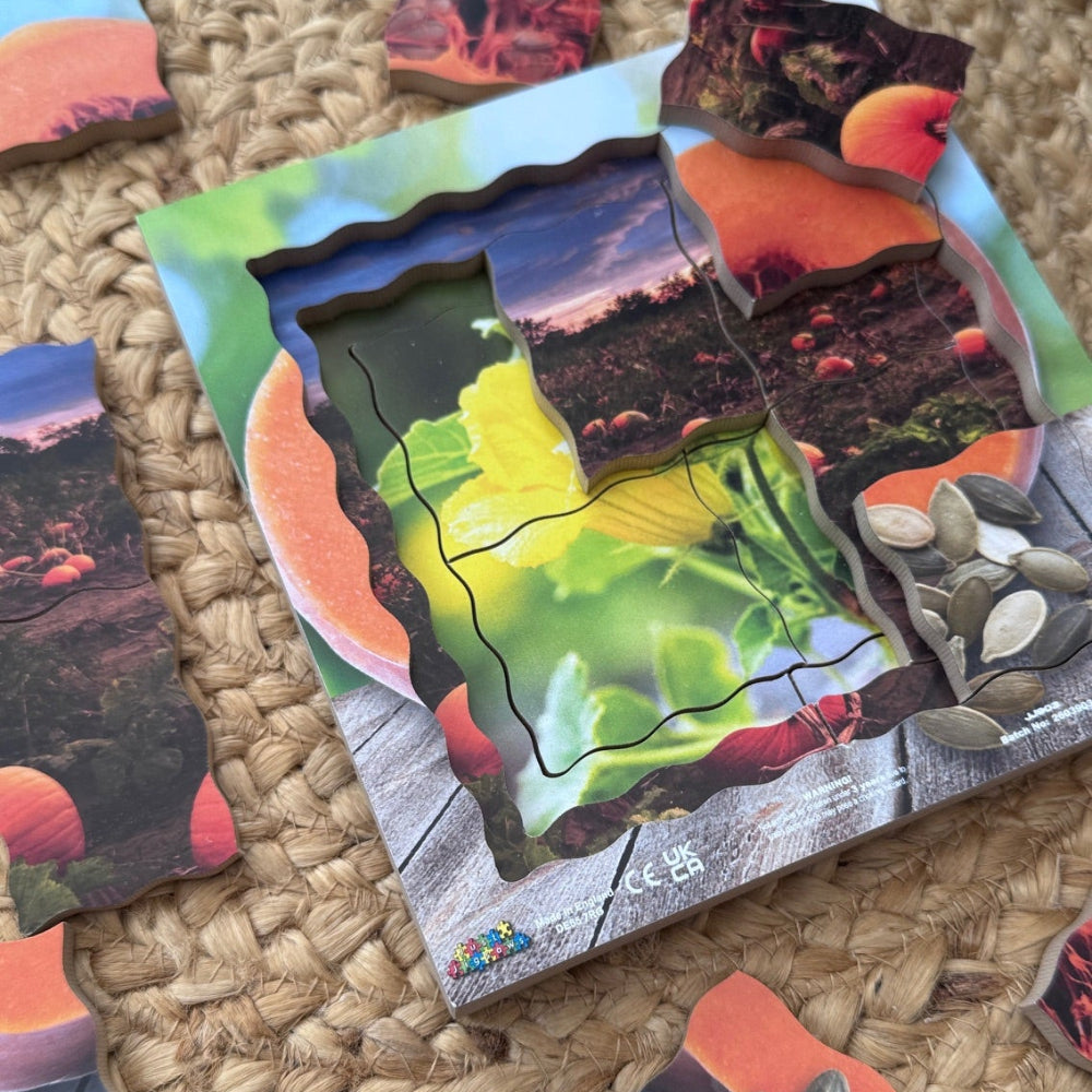 Pumpkin Life Cycle Layered Puzzle