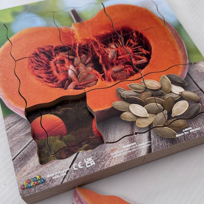 Pumpkin Life Cycle Layered Puzzle