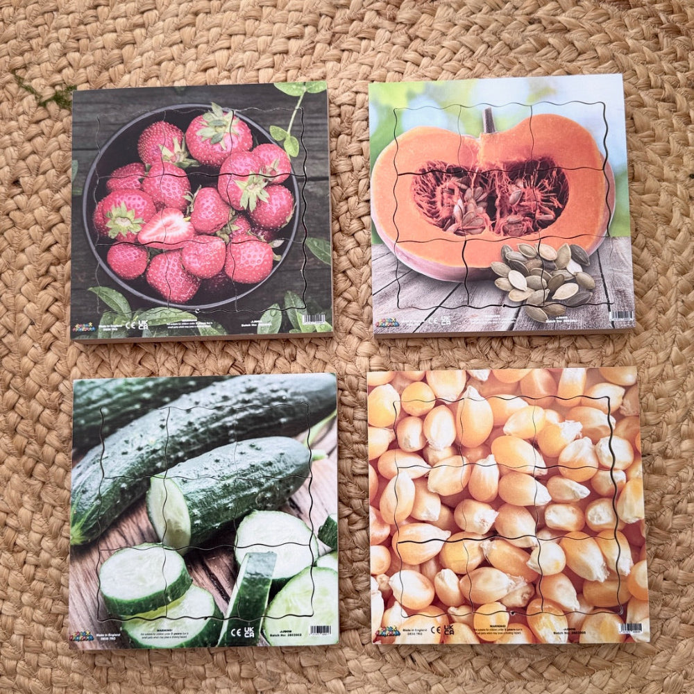 Pumpkin Life Cycle Layered Puzzle