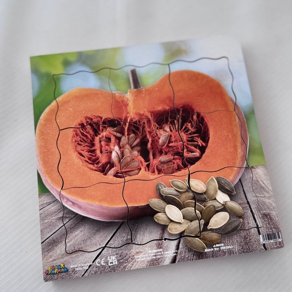 Pumpkin seed puzzle with pumpkin and seeds on a wooden surface