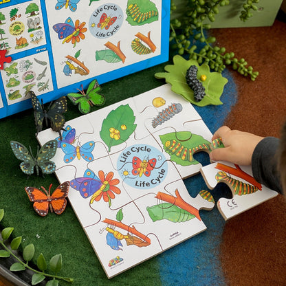 Child playing with a butterfly life cycle puzzle on a green mat, with a book about butterflies in the background.