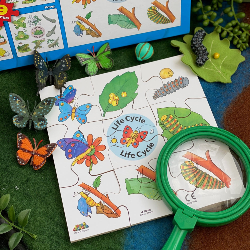 Life Cycle Jigsaw Puzzles (Set of 4)
