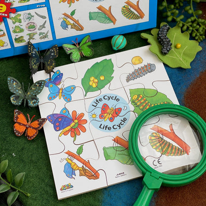 Life Cycle Jigsaw Puzzles (Set of 4)