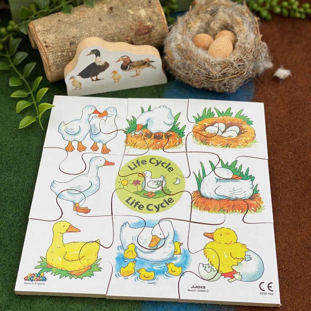 Life Cycle Jigsaw Puzzles (Set of 4)