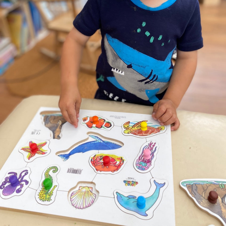 Wooden Peg Puzzles