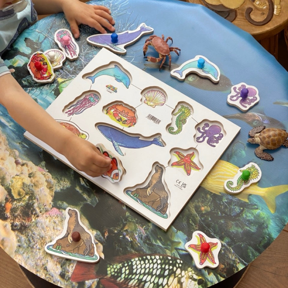 Wooden Peg Puzzles