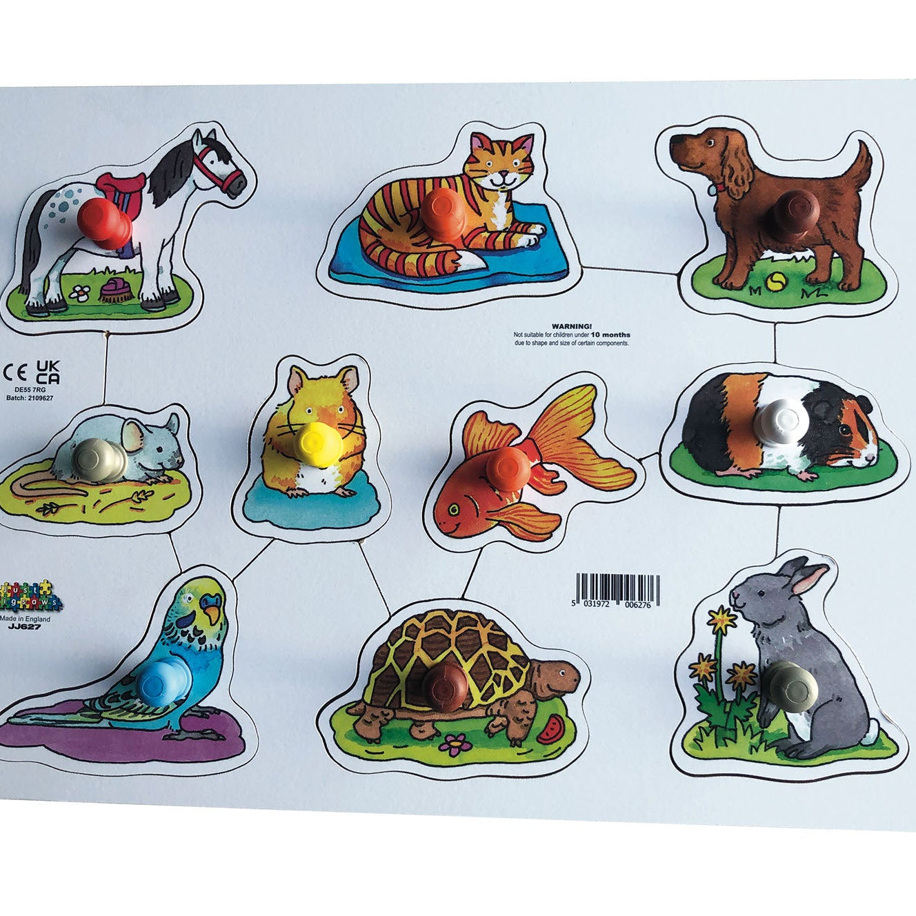 Wooden Peg Puzzles