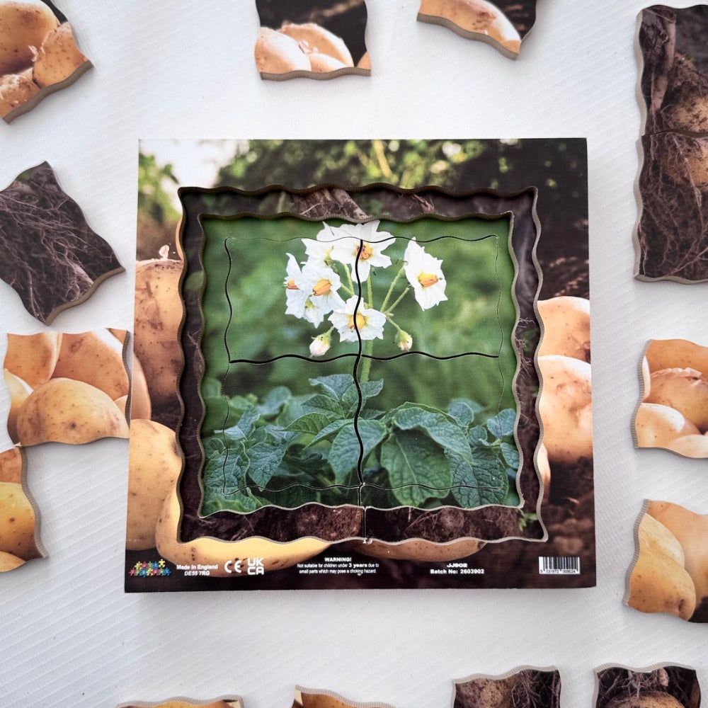 Potato Life Cycle Layered Puzzle