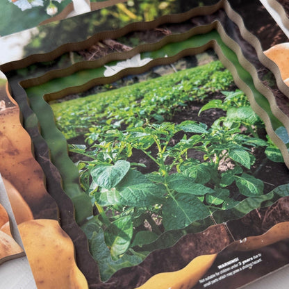 Potato Life Cycle Layered Puzzle