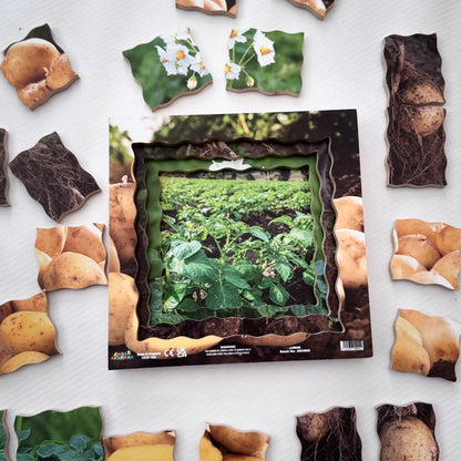Potato Life Cycle Layered Puzzle