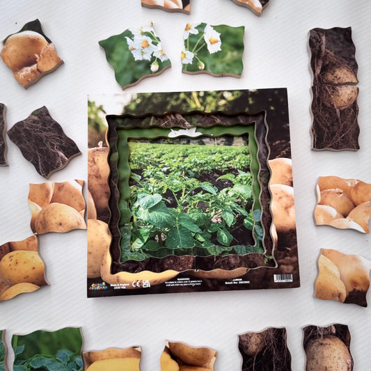 Potato Life Cycle Layered Puzzle