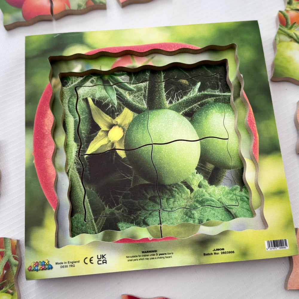 Tomato Life Cycle Layered Puzzle