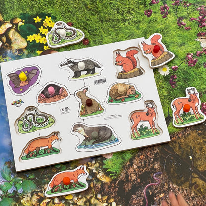 Wooden Peg Puzzles