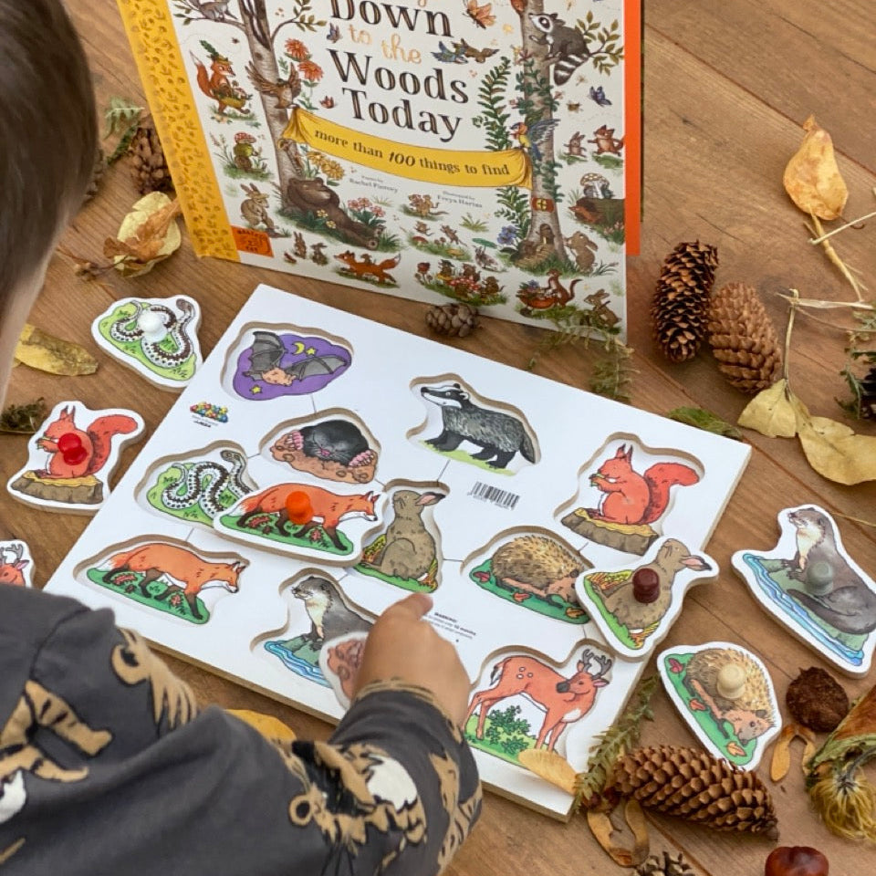 Wooden Peg Puzzles