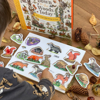 Wooden Peg Puzzles